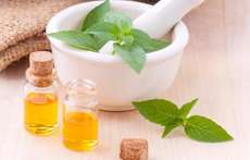 Benef&iacute;cios do &oacute;leo de moringa nos cabelos