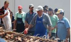 Porto Barreiro - Festa em Sert&atilde;ozinho re&uacute;ne centenas de pessoas