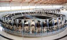 Quedas - Secret&aacute;rio de agricultura viaja para Nova Zel&acirc;ndia