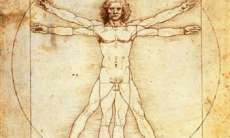 Estudos derrubam mitos sobre corpo humano. Confira!