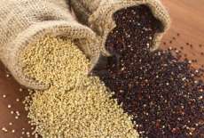 Quinoa e seus benef&iacute;cios para a sa&uacute;de