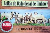 Pinh&atilde;o - Leil&atilde;o de Gado Geral
