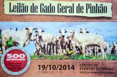 Pinh&atilde;o - Leil&atilde;o de Gado Geral