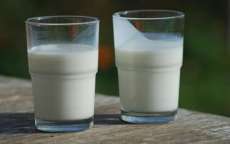 Intoler&acirc;ncia &agrave; lactose atinge 3,5 milh&otilde;es de pessoas no PR