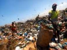 Dia Mundial do Meio Ambiente 2013 - conhe&ccedil;a a origem e os objetivos