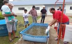 Reserva - 1 ª Feira do Peixe Vivo foi um sucesso