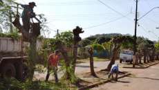 Tr&ecirc;s Barras - Prefeitura realiza poda de &aacute;rvores no distrito de Santo Isidoro