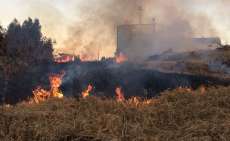Rio Bonito - Aproximadamente 04 alqueires &eacute; atingido por inc&ecirc;ndio atr&aacute;s da Coprossel