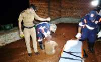 Morre no hospital mulher espancada cruelmente pelo ex