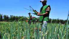 Prazo para agricultor saldar d&iacute;vidas com o Pronaf termina dia 30