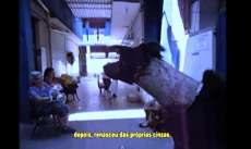 Mais crueldade, c&atilde;o &eacute; resgatado com tubo de pl&aacute;stico no pesco&ccedil;o. Veja o v&iacute;deo