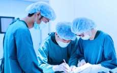 Criadores do transplante de &uacute;tero ensinam t&eacute;cnica no Brasil