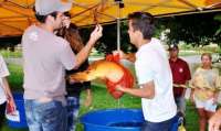 Laranjeiras - Mais de mil quilos de pescados serão oferecidos na edição de maio da Feira do Peixe Vivo