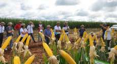 Quedas - Sindicato Rural promove dia de campo neste m&ecirc;s de janeiro