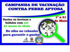 Pinh&atilde;o - Prazo para vacina&ccedil;&atilde;o contra aftosa termina na pr&oacute;xima ter&ccedil;a, dia 31