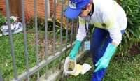 Número de casos de dengue dobra neste ano no Paraná