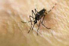 Epidemia de zika reacende debate sobre interrup&ccedil;&atilde;o da gravidez