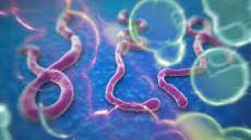 Ebola pode chegar ao Brasil, mas n&atilde;o h&aacute; risco de epidemia, diz m&eacute;dico