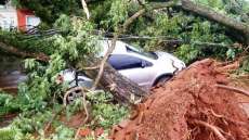 Tornado causa destrui&ccedil;&atilde;o em Marechal C&acirc;ndido Rondon no Paran&aacute;. Veja v&iacute;deo