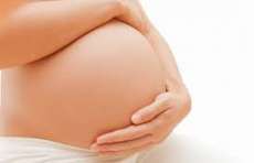 Cresce em 50% o n&uacute;mero de gestantes registradas no Bolsa Fam&iacute;lia