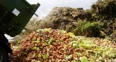 Projeto quer reduzir desperd&iacute;cio de alimentos no Brasil