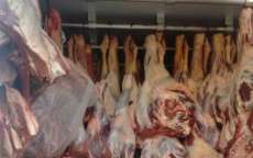 Pol&iacute;cia descobre mais de uma tonelada de carne impr&oacute;pria que seria vendida no Paran&aacute;