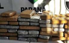 Pol&iacute;cia encontra 27 kg de maconha escondidos em lat&atilde;o, em matagal