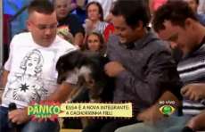 Em sua volta, &ldquo;P&acirc;nico&rdquo; ironiza Sabrina e a &ldquo;troca&rdquo; por cadela