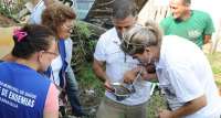 Em uma semana, Paraná registra 9.657 novos casos de dengue