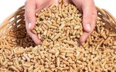 Quedas - Araupel prepara aumento da produ&ccedil;&atilde;o de pellets