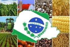 Paran&aacute; mant&eacute;m 3&ordf; posi&ccedil;&atilde;o no ranking das exporta&ccedil;&otilde;es do agroneg&oacute;cio