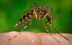 Regional de Sa&uacute;de de Cianorte confirma o 1&ordm; caso de Zika V&iacute;rus