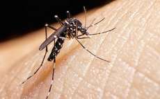 Epidemia de Zika n&atilde;o elevou venda de contraceptivos no pa&iacute;s