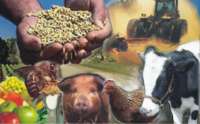 Paraná é o 4º estado que concentra 60% das riquezas geradas pela agropecuária