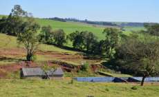 Campo Bonito - Vende-se fazenda com 52 alqueires, sendo 40 mecanizados e 12 de pasto