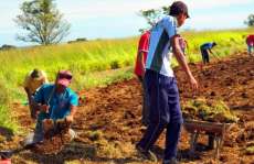 Reserva do Iguaçu - Secretaria de Meio Ambiente está iniciando viveiro municipal
