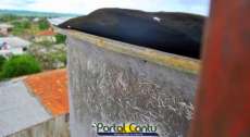 Laranjeiras - Caixa d&#039;água do cemitério municipal é uma opção ao mosquito da Dengue