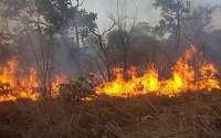 Três Barras - Bombeiros de Quedas ajudam a combater incêndio no município