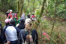 Cand&oacute;i - Caminhada da Natureza acontece neste domingo