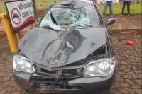 Laranjeiras - Dois veículos se envolvem em acidente, após atropelar um cavalo na BR-277