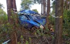 Homem morre ao bater carro contra &aacute;rvore no Paran&aacute;