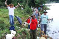Quedas - Nova &aacute;rea invadida &eacute; a mais produtiva da Araupel