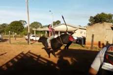 No interior do Paran&aacute;, pe&atilde;o morre pisoteado por touro em rodeio. Veja v&iacute;deo