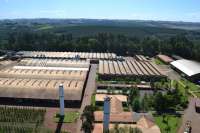 Quedas - Reuni&atilde;o entre MST e Araupel termina sem acordo