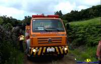 Guaraniaçu - Mulher morre após levar mais de 300 picadas de abelha. Veja reportagem completa