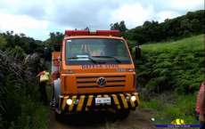 Guarania&ccedil;u - Mulher morre ap&oacute;s levar mais de 300 picadas de abelha. Veja reportagem completa