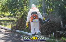 Guarania&ccedil;u - Equipe da Secretaria de sa&uacute;de intensifica combate ao mosquito da dengue