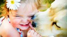 Conhe&ccedil;a dez li&ccedil;&otilde;es de vida que podemos aprender com os cachorros