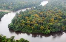 Amaz&ocirc;nia sofre maior desmatamento desde 2008