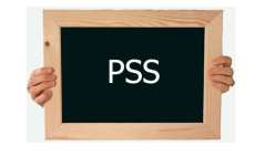 Pinh&atilde;o - Aberta as inscri&ccedil;&otilde;es para o processo seletivo simplificado - PSS